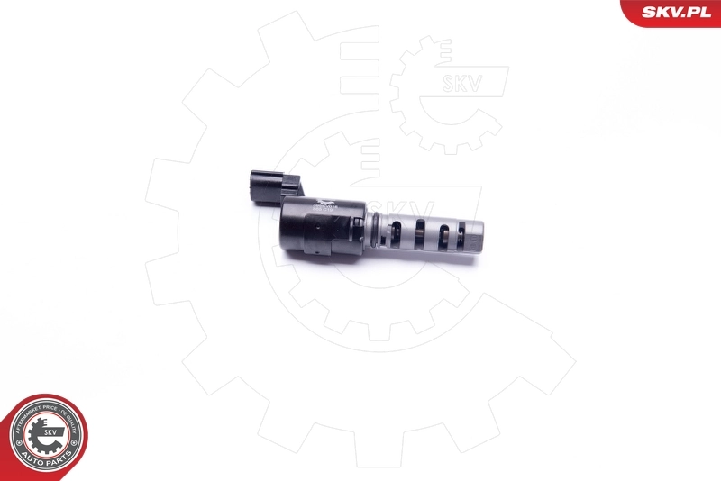 Control Valve, camshaft adjustment 39SKV016