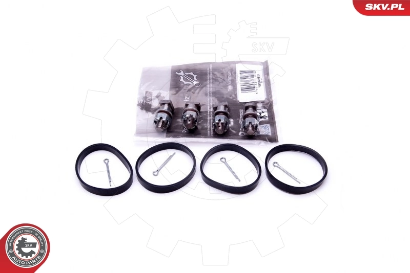 Repair Kit, intake manifold module 49SKV518