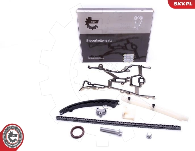Timing Chain Kit 21SKV201