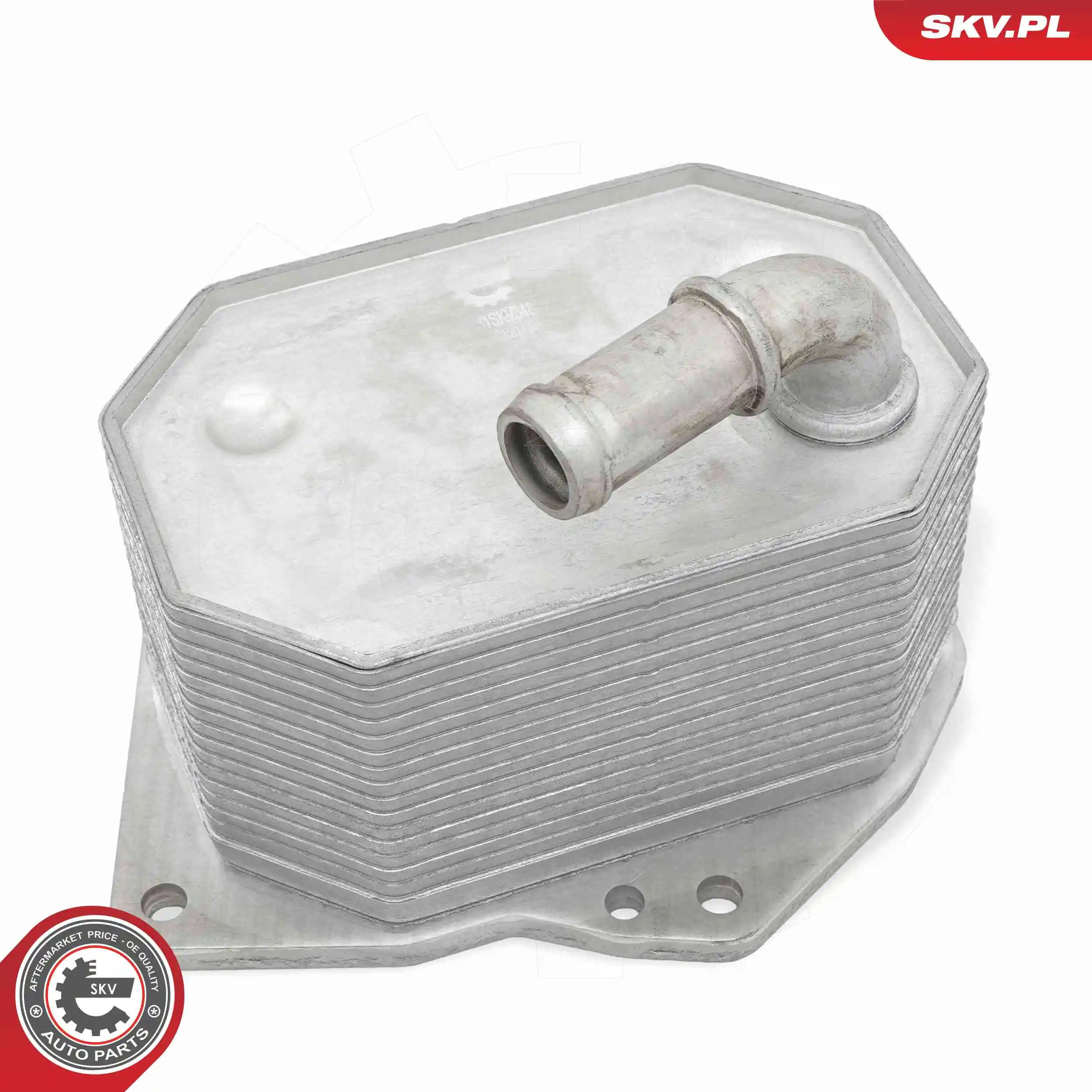 Oil Cooler, engine oil 31SKV348