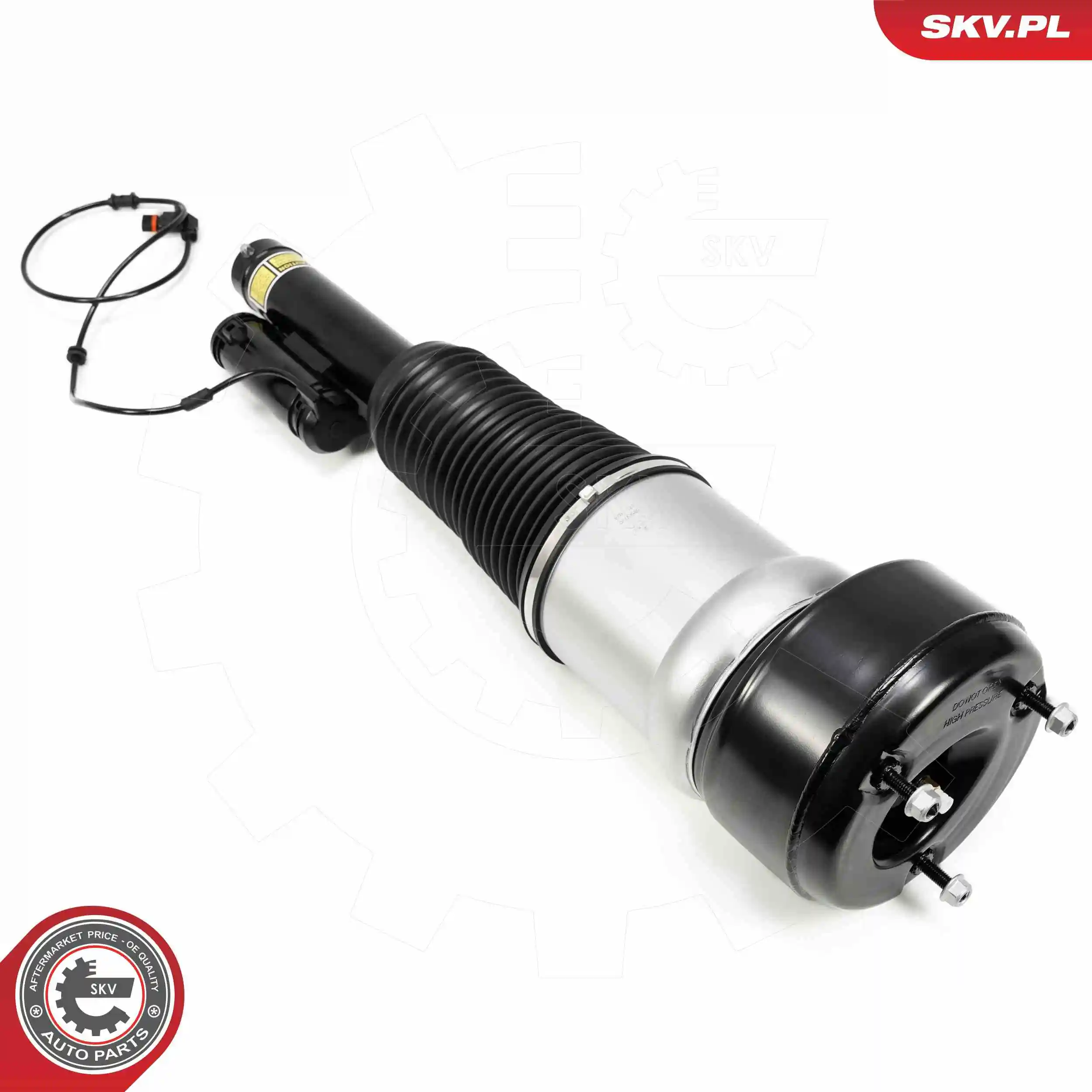 Air Suspension Strut 58SKV720