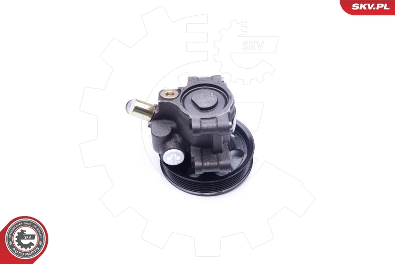 Hydraulic Pump, steering 10SKV260