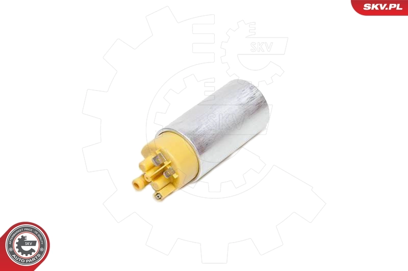 Fuel Pump 02SKV248