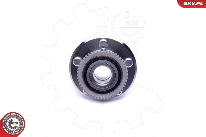 ESEN SKV 29SKV383 Wheel Bearing Kit