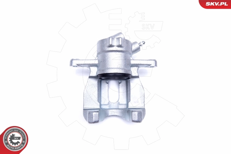 Brake Caliper 42SKV972