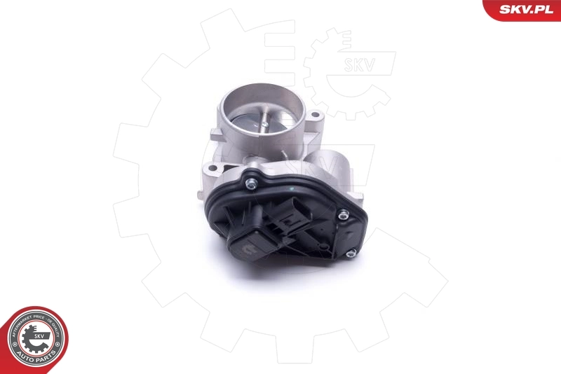 Throttle Body 12SKV104