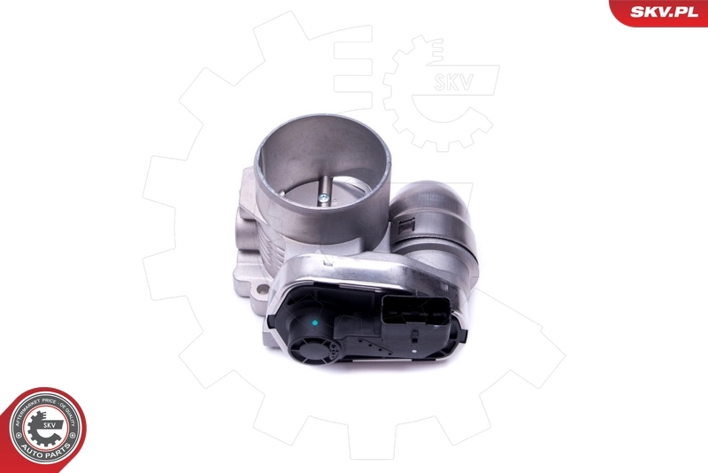ESEN SKV 12SKV080 Throttle Body