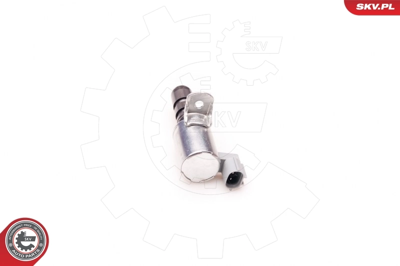 Control Valve, camshaft adjustment 39SKV006