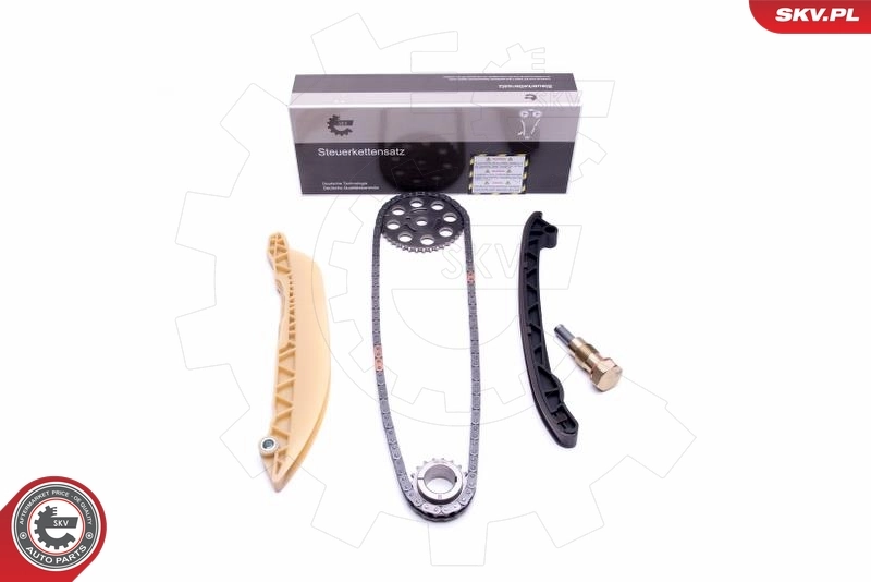 Timing Chain Kit 21SKV213