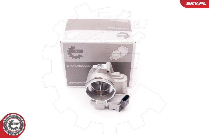 Throttle Body 12SKV061