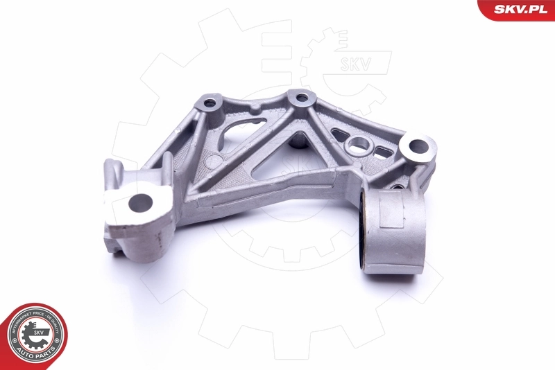 Steering Knuckle, wheel suspension 47SKV301
