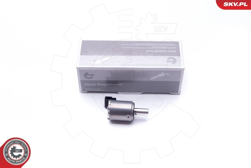 Control Valve, camshaft adjustment 39SKV027