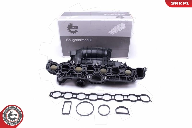 Intake Manifold Module 49SKV030