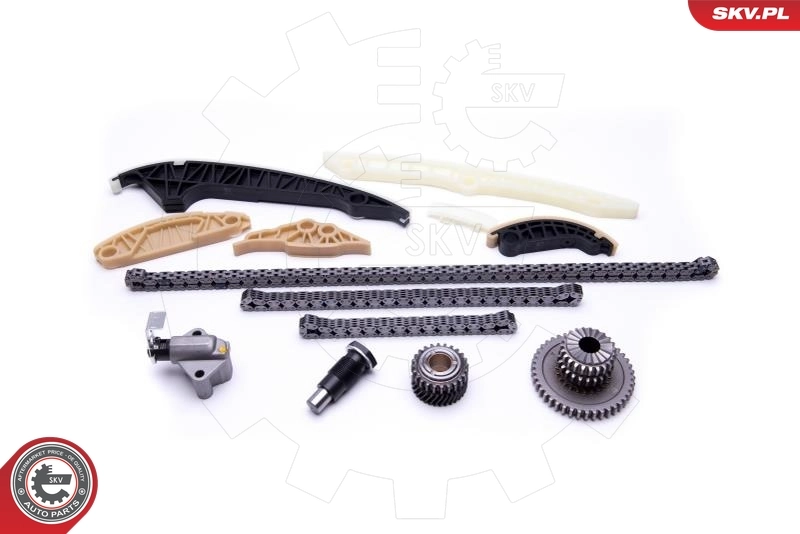 Timing Chain Kit 21SKV163