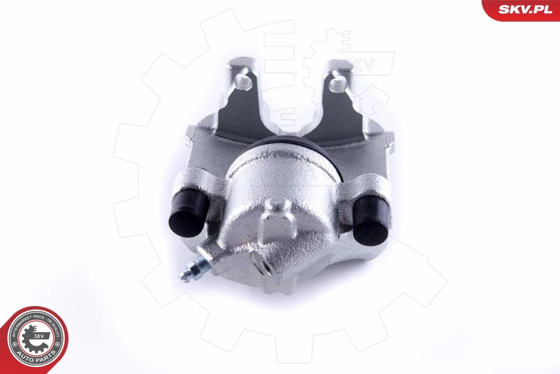 Brake Caliper 55SKV251