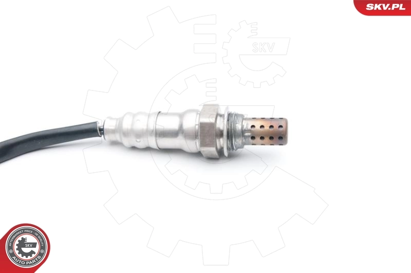 Oxygen Sensor 09SKV697