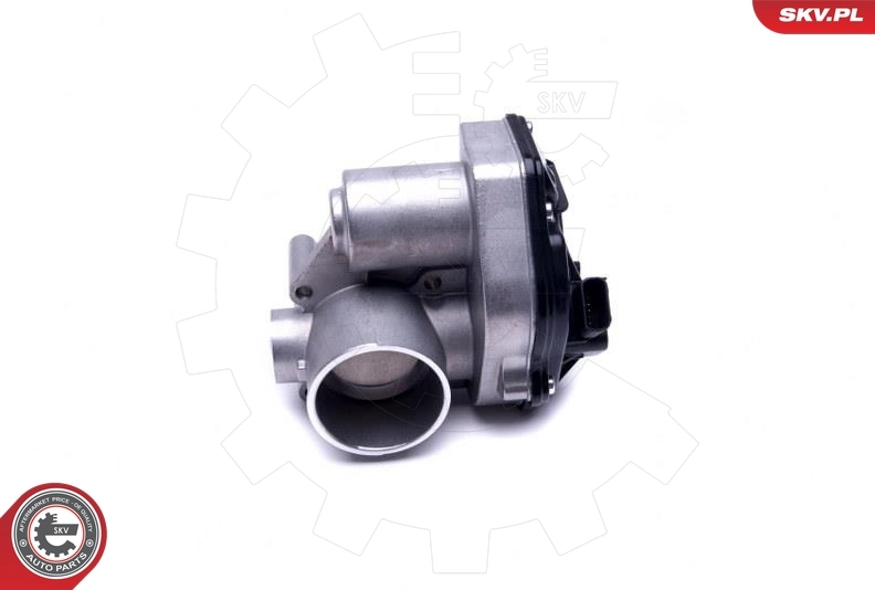 Throttle Body 12SKV092