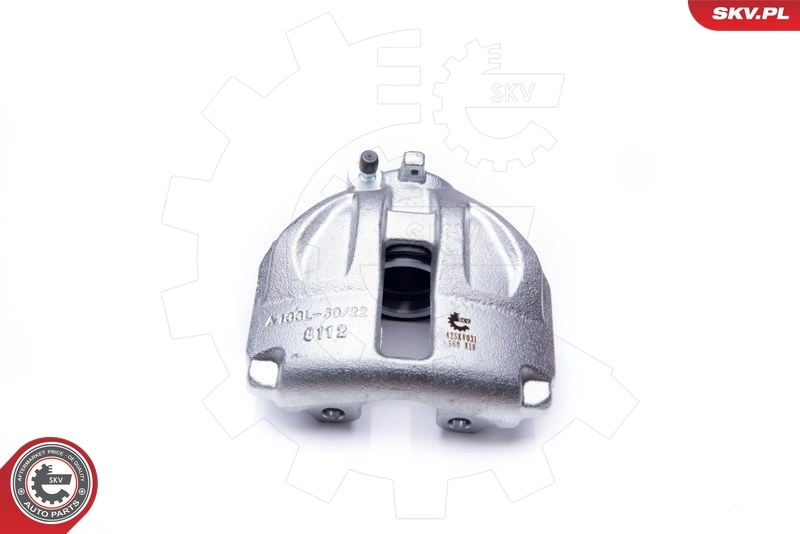 Brake Caliper 42SKV031