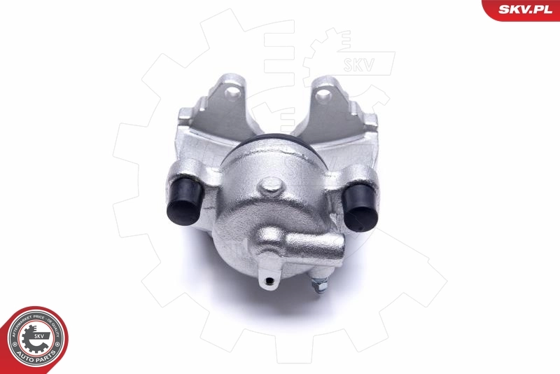 Brake Caliper 55SKV491