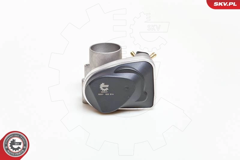 Throttle Body 12SKV028