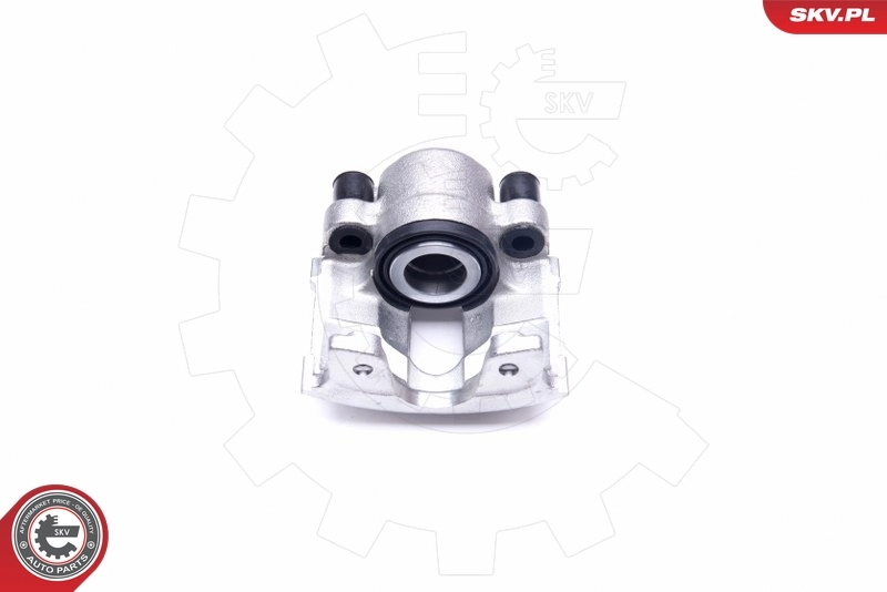 Brake Caliper 45SKV643