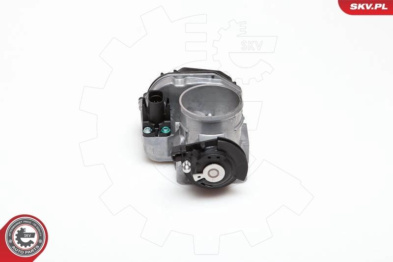 Throttle Body 12SKV007