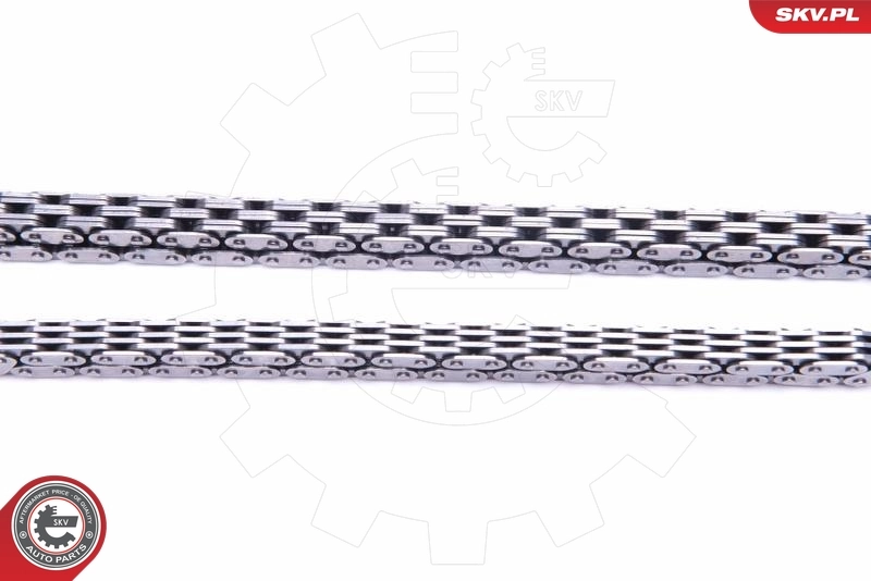 Timing Chain Kit 21SKV242