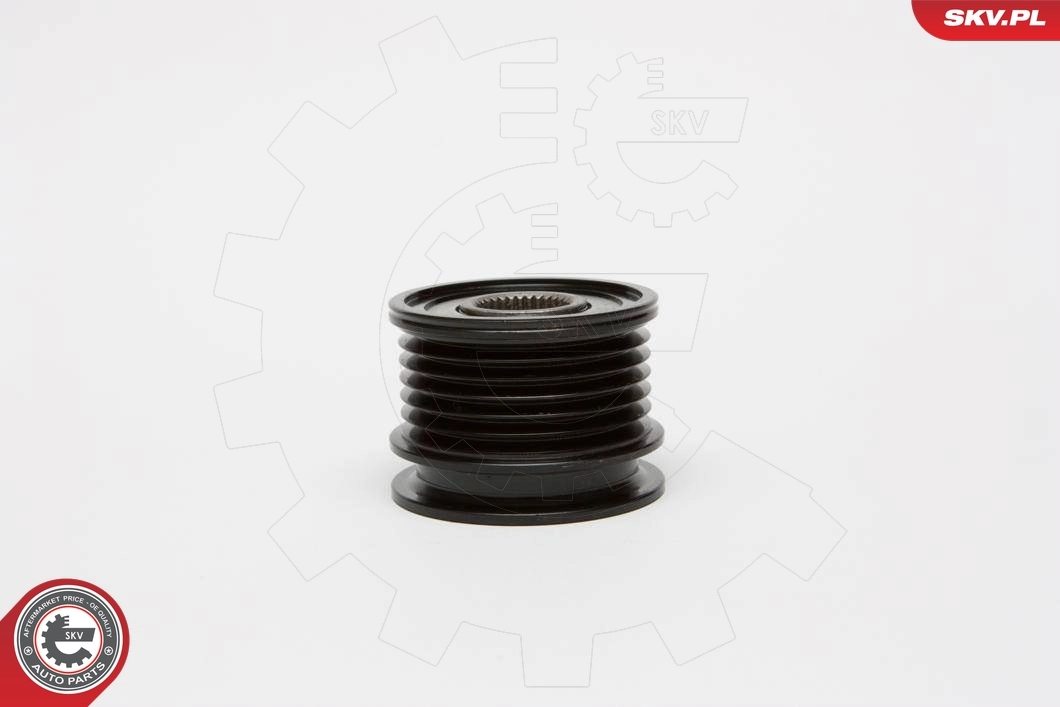 ESEN SKV 11SKV025 Alternator Freewheel Clutch