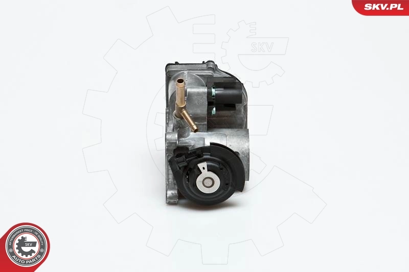 Throttle Body 12SKV033