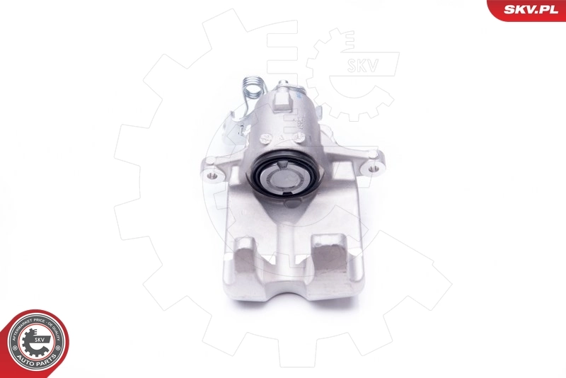 Brake Caliper 42SKV064