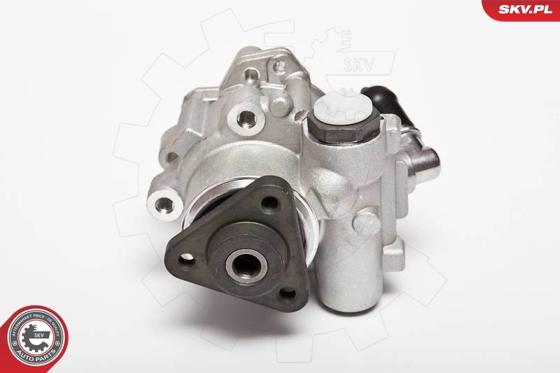 Hydraulic Pump, steering 10SKV015