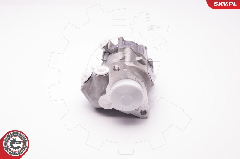 Hydraulic Pump, steering 1SKV0002