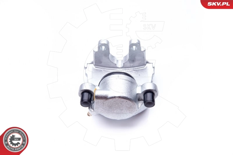 Brake Caliper 42SKV371