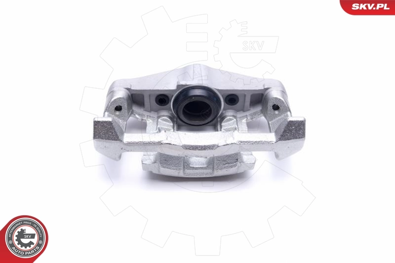 ESEN SKV 55SKV832 Brake Caliper