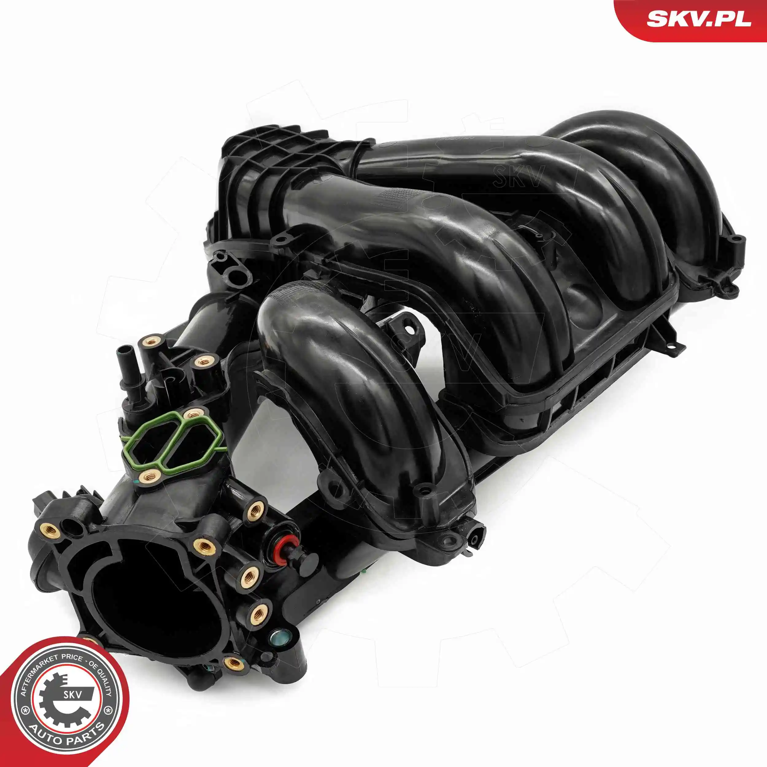 ESEN SKV 49SKV085 Intake Manifold Module