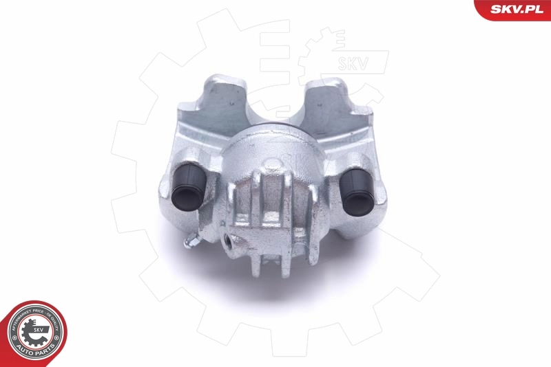 Brake Caliper 55SKV812