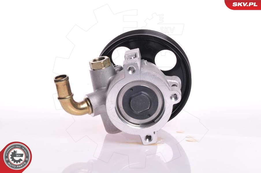 Hydraulic Pump, steering 10SKV013