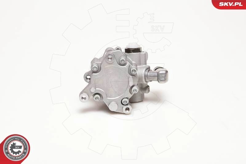 Hydraulic Pump, steering 10SKV124