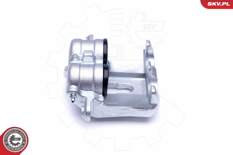 Brake Caliper 46SKV031