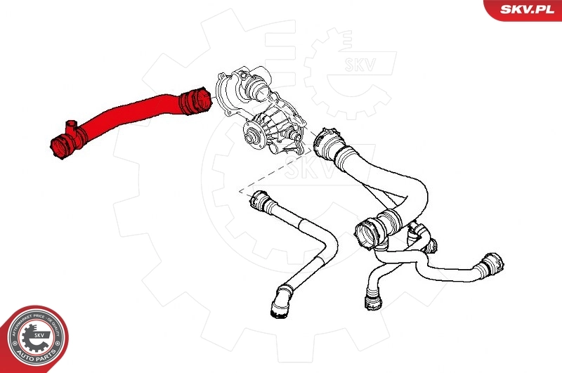 Radiator Hose 24SKV246