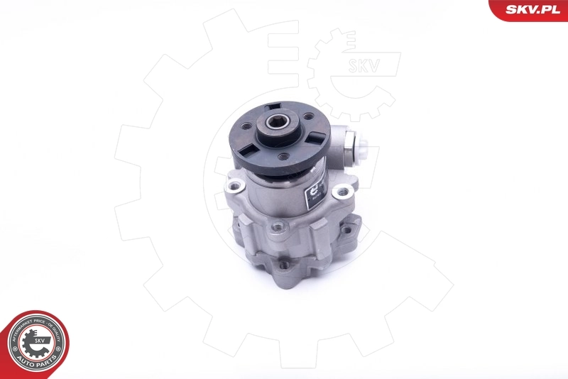Hydraulic Pump, steering 10SKV247