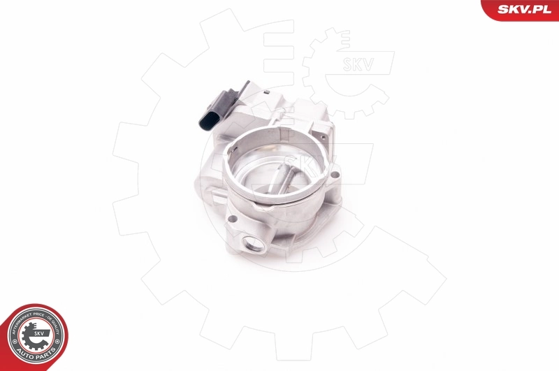 Throttle Body 12SKV061