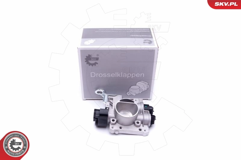 Throttle Body 12SKV081