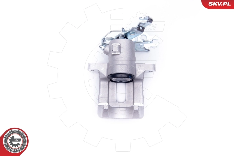 Brake Caliper 42SKV043