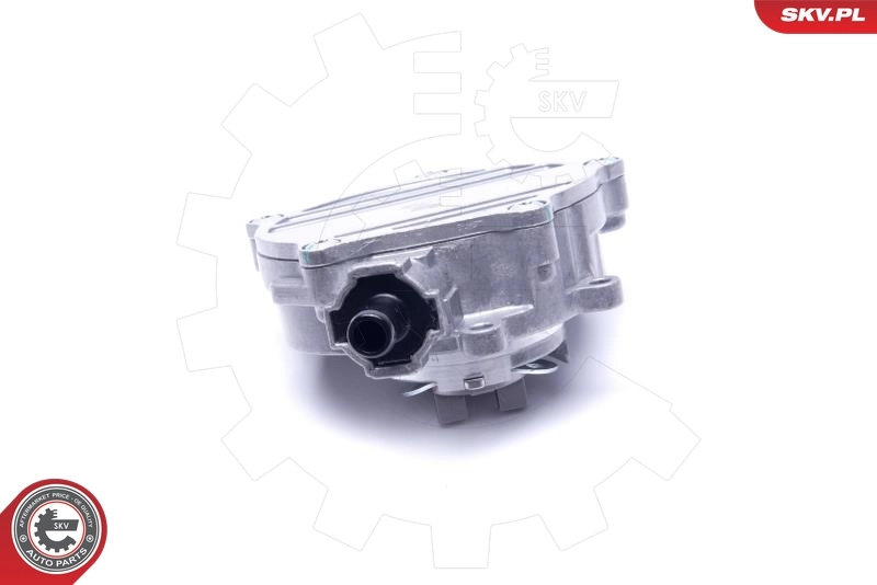 Vacuum Pump, braking system 18SKV033