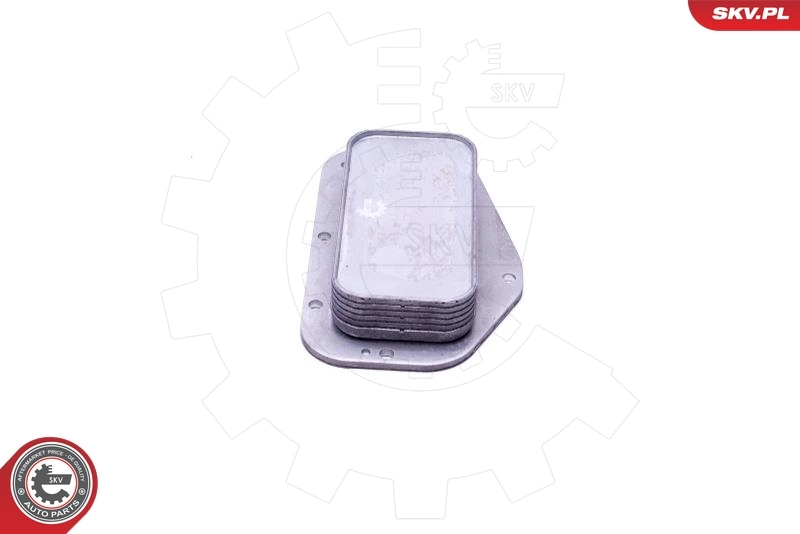 Oil Cooler, engine oil 31SKV231