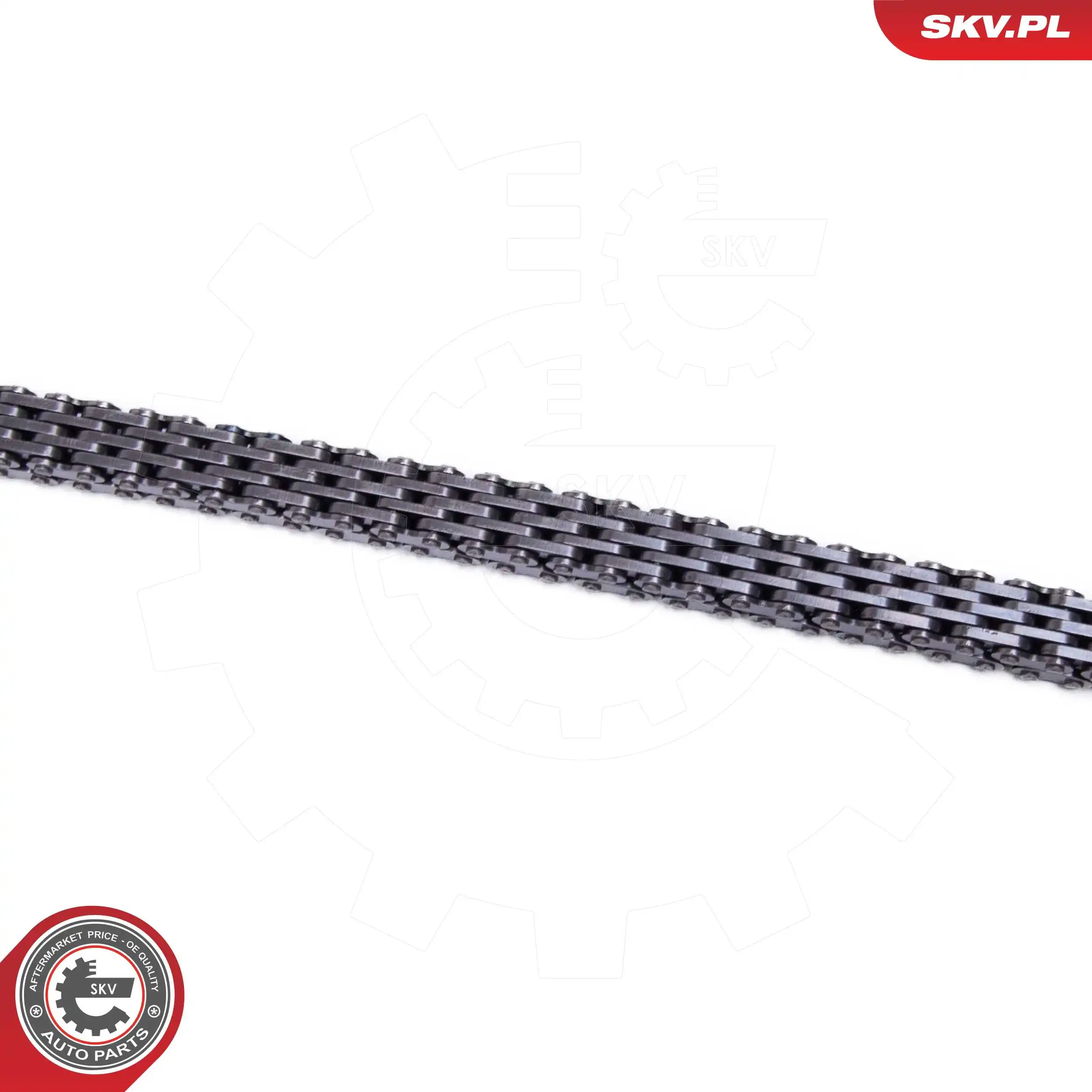 Timing Chain Kit 21SKV271