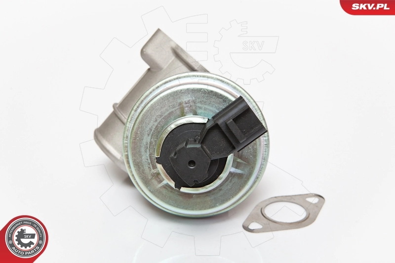 EGR Valve 14SKV061