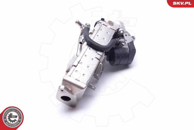 EGR Valve 14SKV234