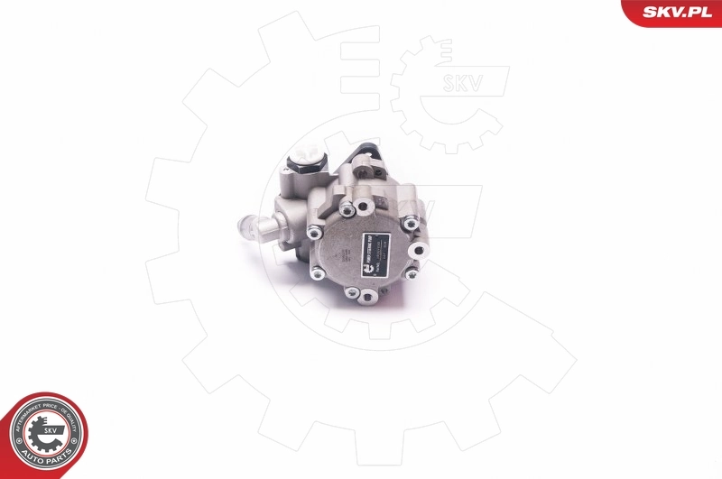 Hydraulic Pump, steering 10SKV030